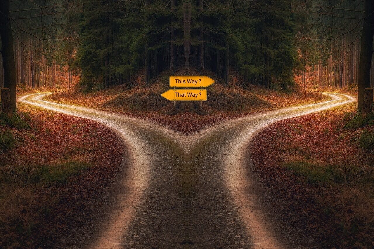 A road that comes up on a split and a road sign that has the two options of this way and that way all surrounded by forest.