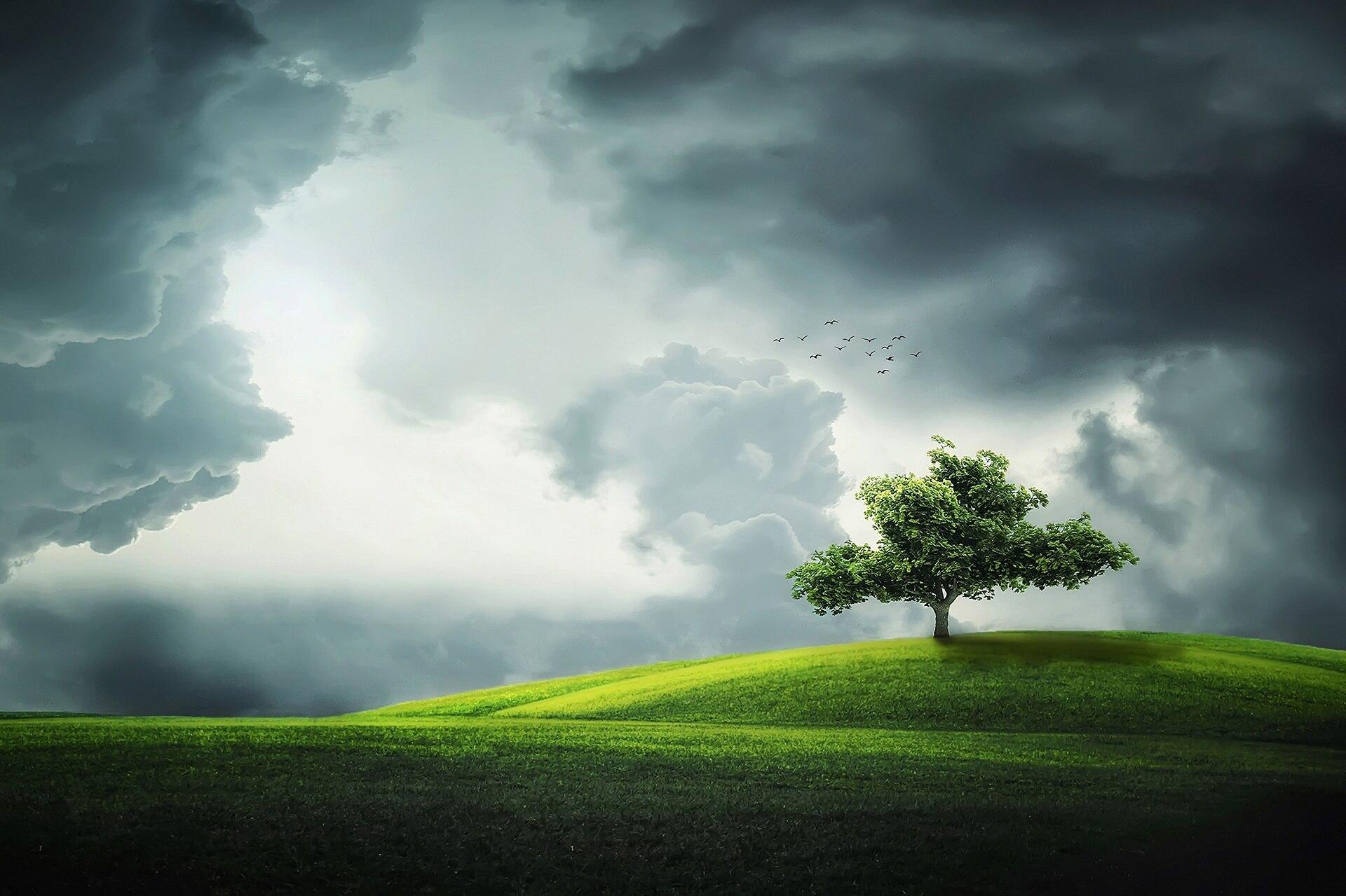 A large green field of grass with a single tree on one of the hills with birds in the sky underneath lots of dark clouds.