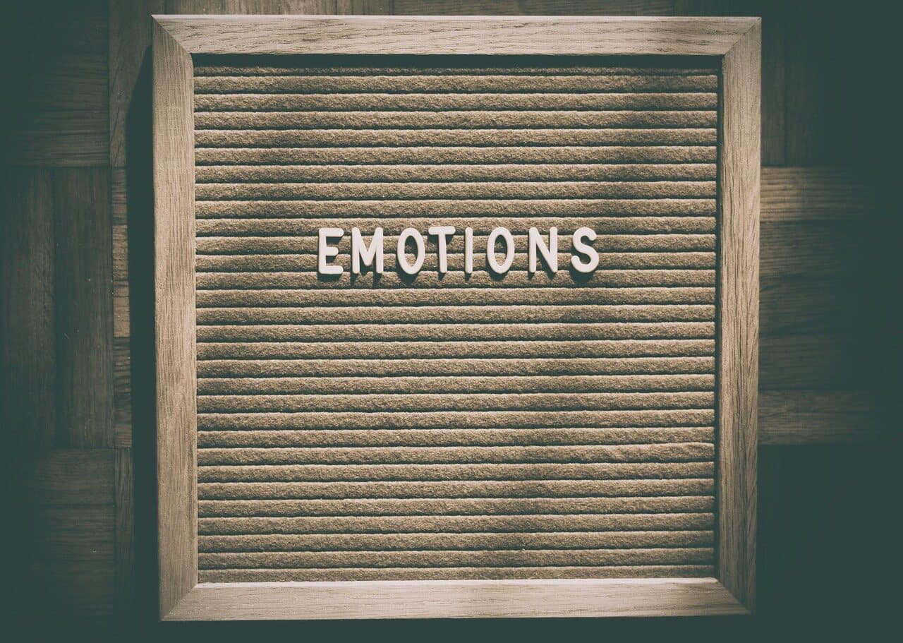 A dark wooden board on a dark wooden wall with letters in white pushed into the center of the board spelling out emotions.