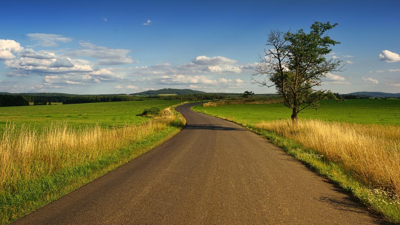 A road separates two sides of a very green field that has brown plants growing on the sides next to a tree with green leaves.