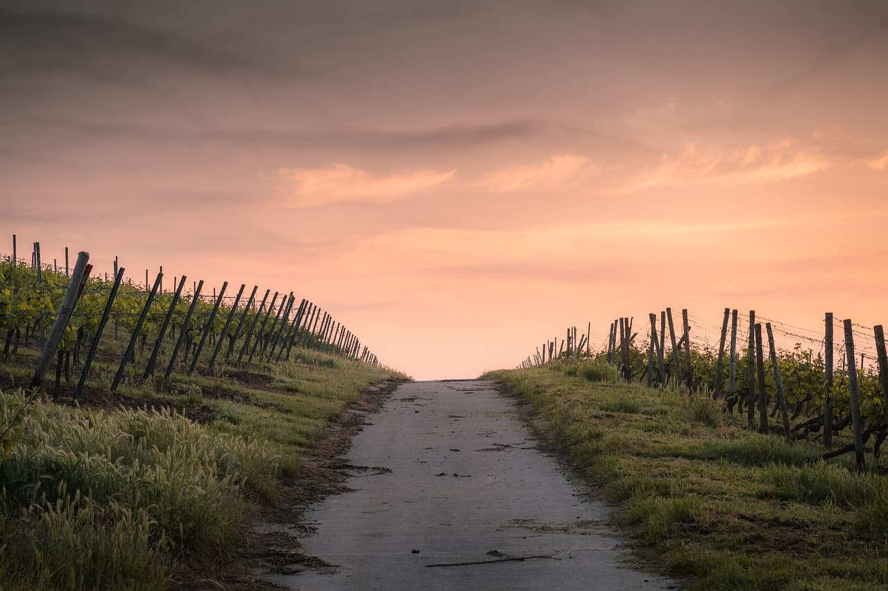 A gray concrete path that is leading itself over a green and grassy hill with a brown wooden fence on either side of it.