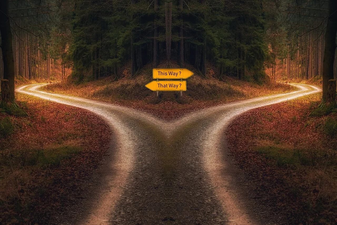 A road that comes up on a split and a road sign that has the two options of this way and that way all surrounded by forest.